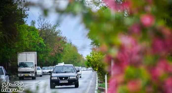 تردد روان در محورهای شمالی؛ مه‌گرفتگی و بارش باران در محور چالوس